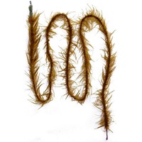 Фото Лідкор Prologic ThaWeed Ready Leader 100cm 40lb NL (4шт/уп) 1846.05.86